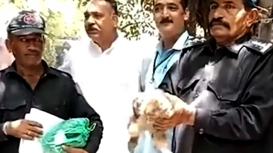 પાકિસ્તાન કોર્ટમાં પુરાવા તરીકે રજૂ કરવામાં આવ્યા 14 વાંદરા, એક ફરાર બચ્ચાને...