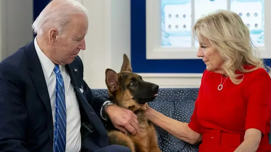 જો બાઇડન પોતાના પેટ ડોગ ‘કમાન્ડર’થી પરેશાન, 10 લોકોને કરડી ગયો છતા...