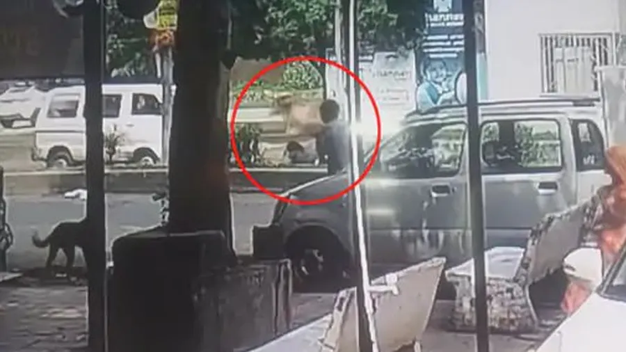 Video: વડોદરામાં ગાયે બાઇક પર જતા દંપતિને અડફેટે લીધા, લોહીલુહાણ, સરકાર મોતની...