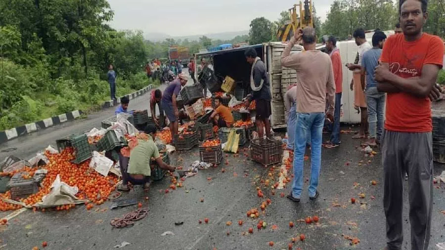 ટામેટા ભરેલો ટેમ્પો પલટી ખાઇ ગયો, લોકો ટોકરી ભરી ભરીને લૂંટી ગયા