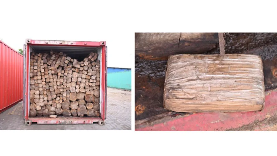 DRIએ અદાણી મુન્દ્રા પોર્ટ પરથી 10 કરોડથી વધુ કિંમતનું 1.04 કિલો કોકેન જપ્ત કર્યુ