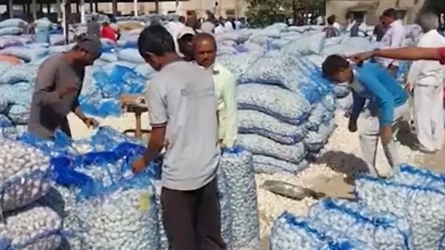 ગુજરાતના વેપારીઓએ પાછું મોકલ્યું ચાઇનીઝ લસણ, જાણો કારણ