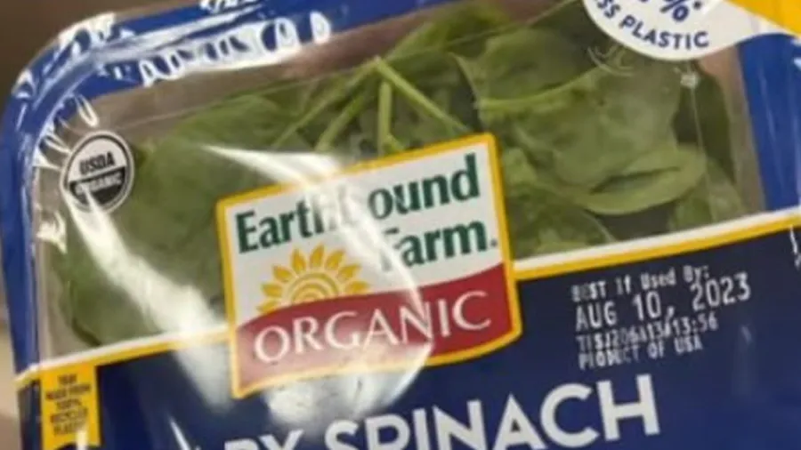 બજારથી લાવી હતી પાલકની ભાજી, પેકેટ ખોલતા જ નીકળી ચીસ, બોલી- જો તે રંધાઈ જાત તો..