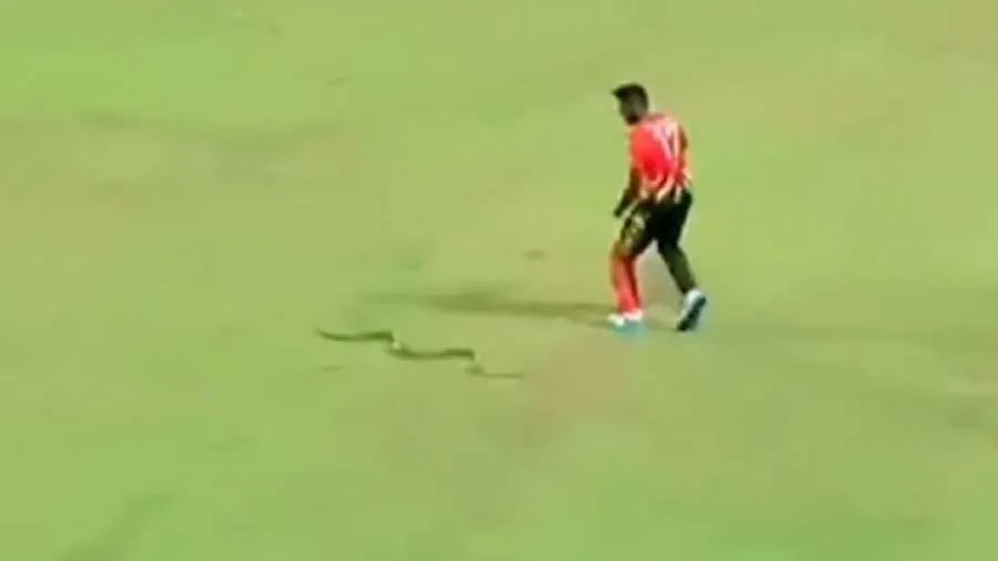 લંકા પ્રીમિયર લીગની લાઈવ મેચમાં ફીલ્ડરની નજીકથી નિકળ્યો સાપ, જુઓ Video