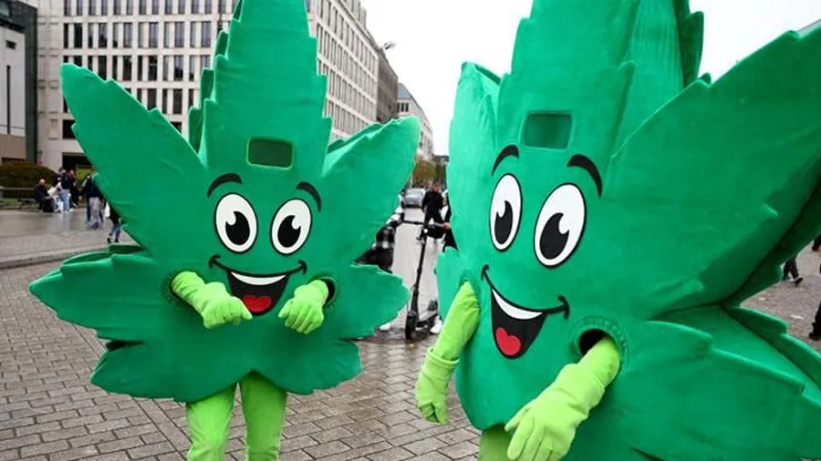 આ દેશ ગાંજાને લીગલ કરવાની તૈયારીમાં, સરકારે ગણાવ્યા ફાયદા