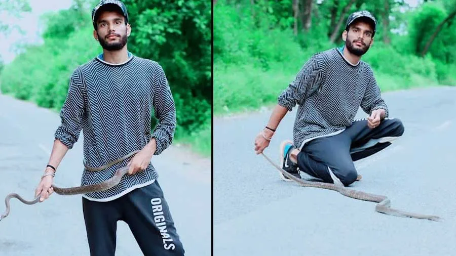 આ યુવાન 4 વર્ષમાં 7000 સાંપને બચાવી ચૂક્યો છે, ‘સ્નેક મેન’ નામે ઓળખાય છે