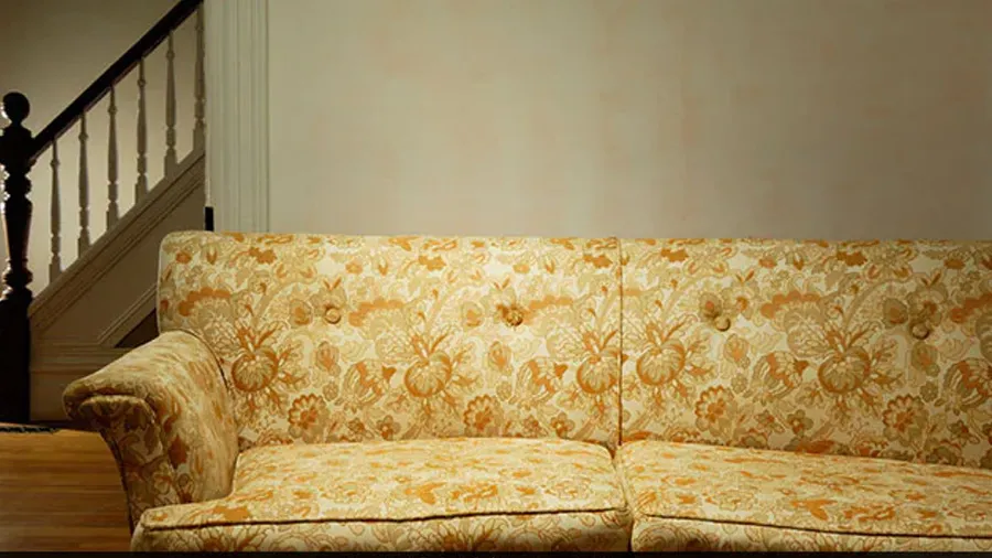 આ વ્યક્તિએ ખરીદ્યો જૂનો સોફો, નીકળી 30 લાખ રૂપિયા ભરેલી બેગ અને પછી...