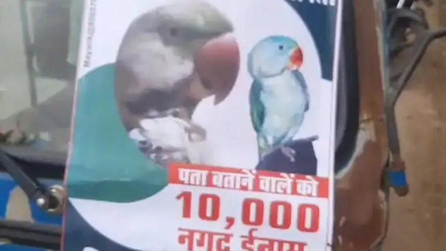 મહિલા પોલીસકર્મીની મોટી જાહેરાત- ‘મારો પોપટ શોધી લાવો તો આપીશ ઈનામ’