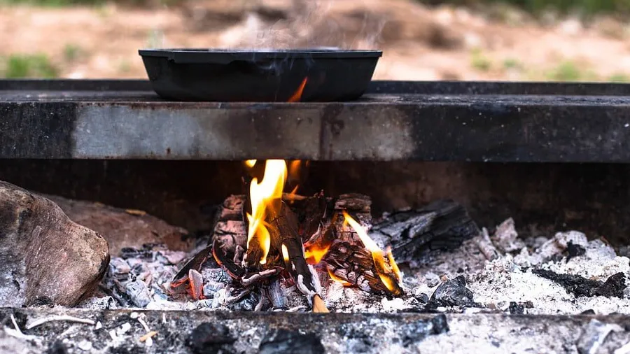 WHOનો દાવો- પેટમાં ઝેર ભરે છે ભોજન બનાવવાની આ રીત, વર્ષે 3 મિલિયન મોત