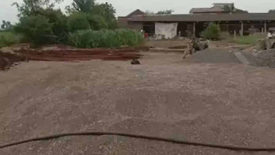 સિંહણ 5 વર્ષની છોકરી ઉપાડી ગઈ, અંગ મળ્યા, સૌરાષ્ટ્રમાં વધતા હુમલાએ વધારી ચિંતા