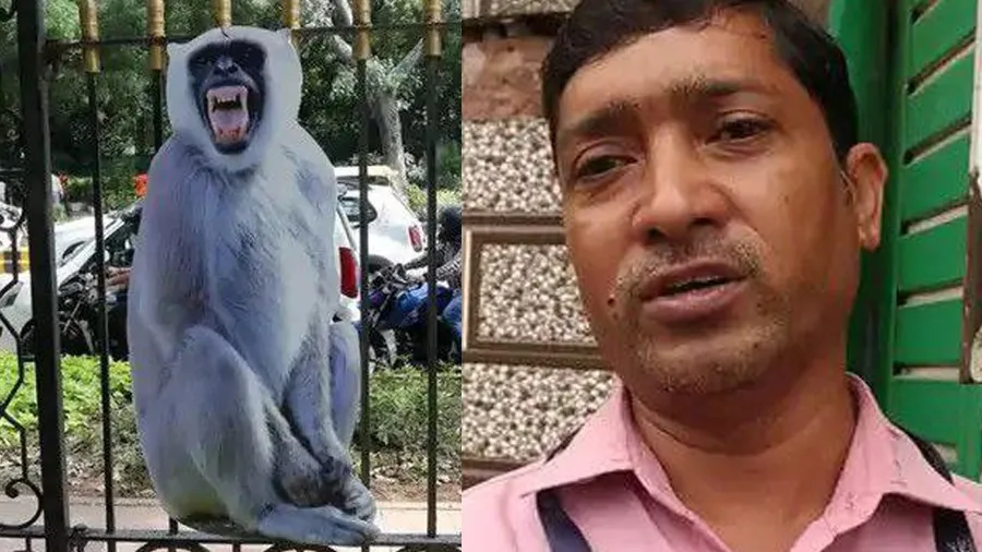 G20 સમિટમાં વાંદરા ભગાવવાની નોકરી, લંગૂર પાસે ટ્રેનિંગ લીધી, PMOથી વાંદરા...