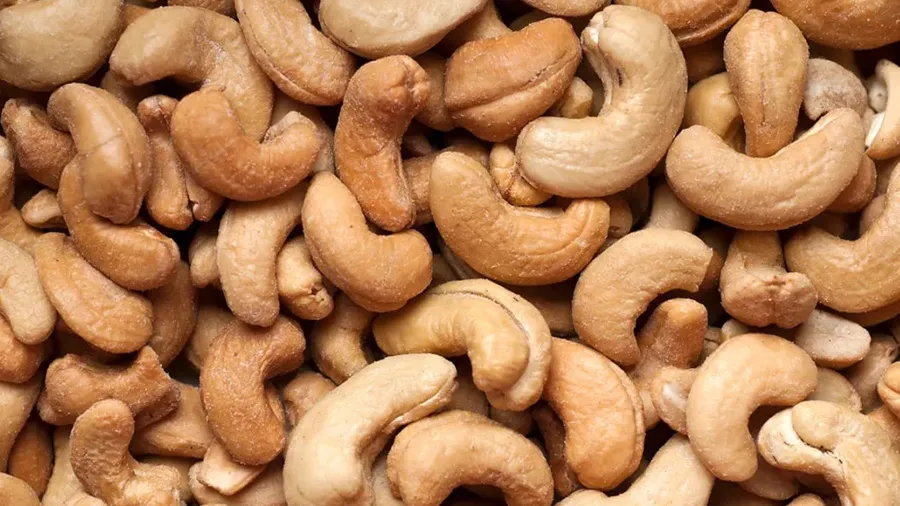 એક દિવસમાં કેટલા કાજુ ખાવા સ્વાસ્થ્ય માટે સારા હોય છે? 95 ટકા લોકો નથી જાણતા