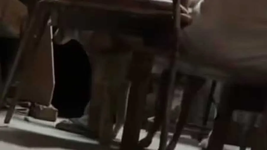 કૂતરા પર આધેડનો બળાત્કાર, લોકો બોલ્યા- લાંબા સમયથી આવું કરે છે