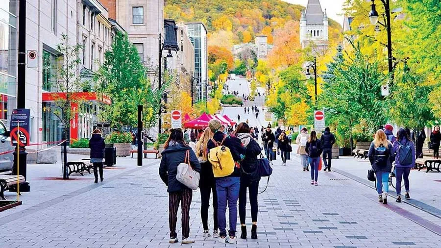 કેનેડામાં 20 હજારથી વધુ ગુજરાતી વિદ્યાર્થીઓ ડરમાં છે, નવા જનારા હવે તૈયાર નથી