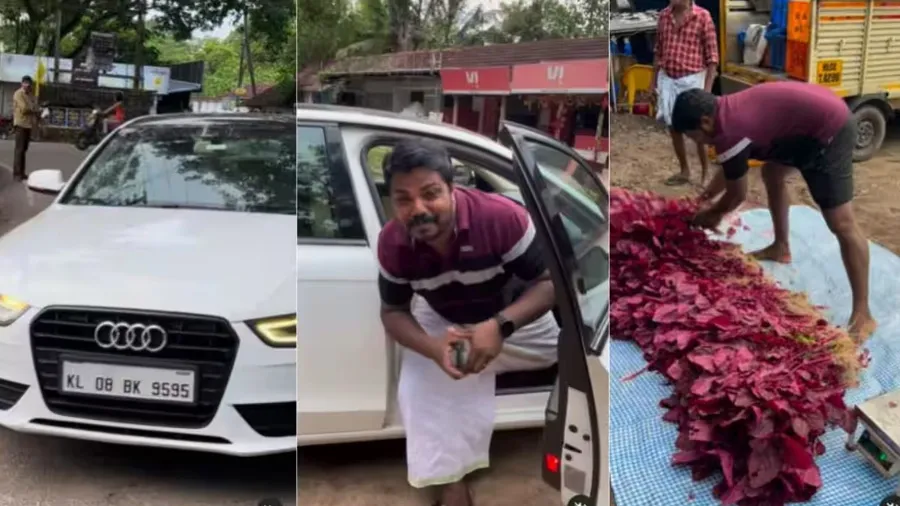 રોડ કિનારે શાકભાજી વેચવા ખેડૂત Audi A4માં પહોંચ્યો,વીડિયો વાયરલ