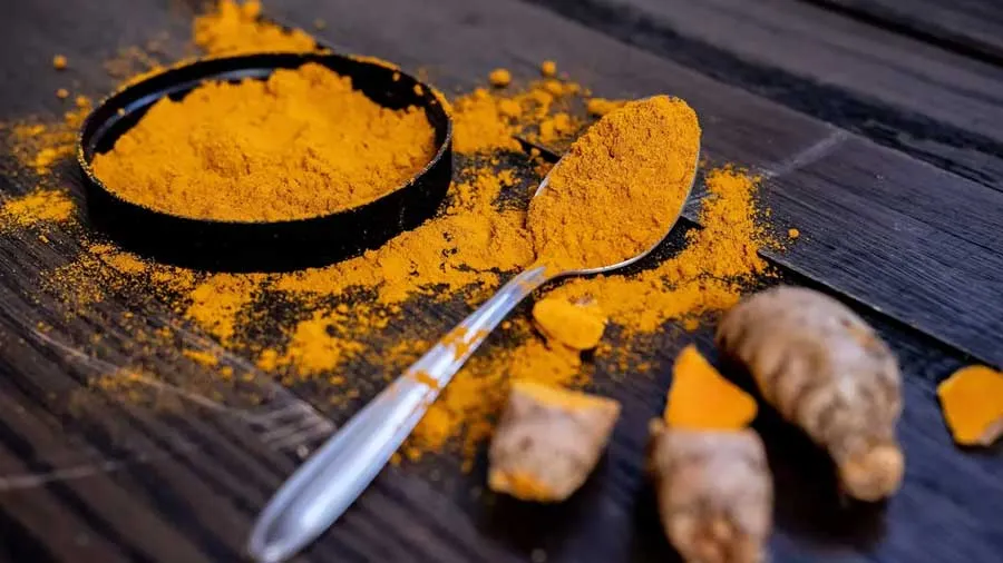 સરકારે નેશનલ હળદર બોર્ડની સ્થાપનાની સૂચના આપી, કોને થશે ફાયદો