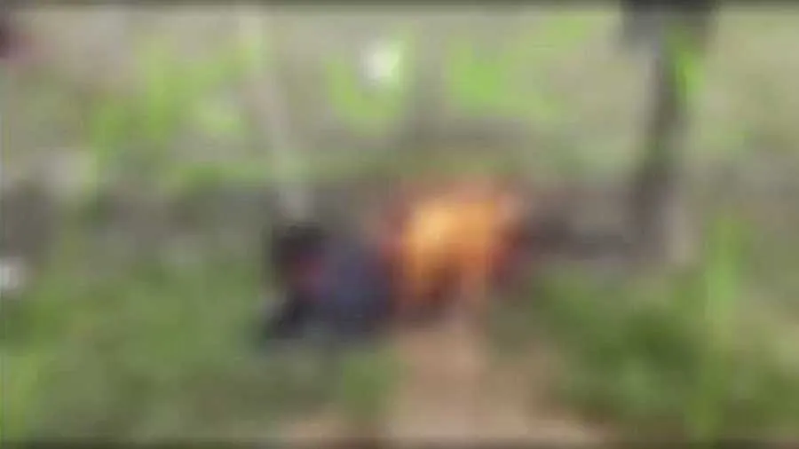 મણિપુરમાં એક યુવકને જીવતો સળગાવવાનો વીડિયો આવ્યો સામે, INDIA ગઠબંધને ...