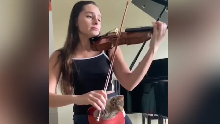 મહિલાએ વગાડ્યુ એવું વાયોલિન, બિલાડીએ સાંભળતા આપ્યું આ રિએક્શન, જુઓ વીડિયો