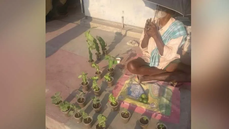 રસ્તા પર તડકામાં છોડ વેચતા વૃદ્ધને મદદ કરવા બોલિવુડ સ્ટારે કરી અપીલ પછી...