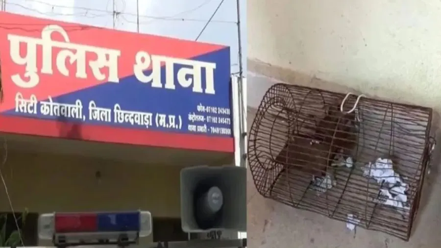 પોલીસ સ્ટેશનમાં રાખેલી દારૂની 60 બોટલો પીઇ ગયા ઉંદરો, એકની ધરપકડ