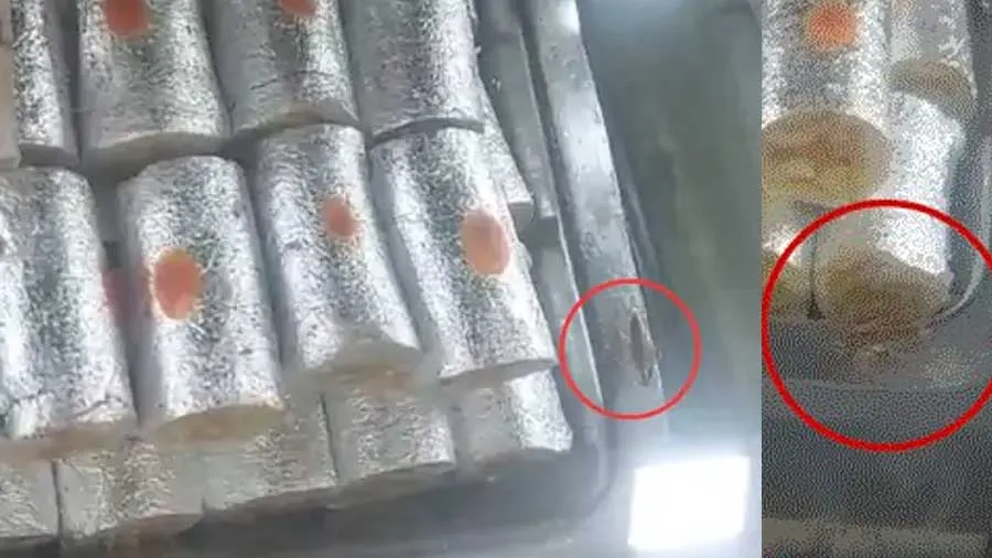 સુરતની જાણીતી વિજય ડેરીમાં મિઠાઇ પર વાંદા ફરતા હોય તેવો વીડિયો વાયરલ