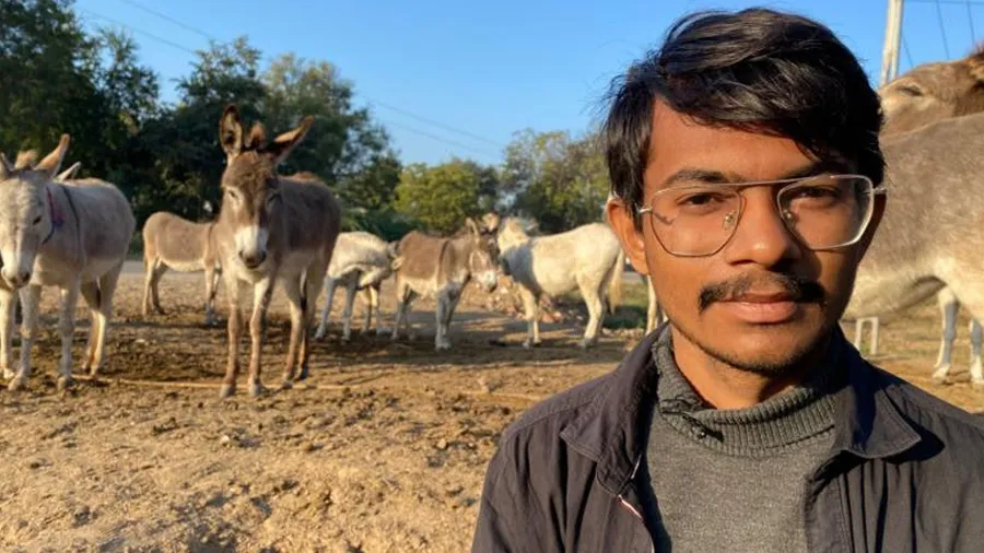 નોકરી ન મળી તો 42 ગધેડા પાળ્યા, ગુજરાતનો યુવાન દૂધ વેચીને લાખોની કમાણી કરે છે