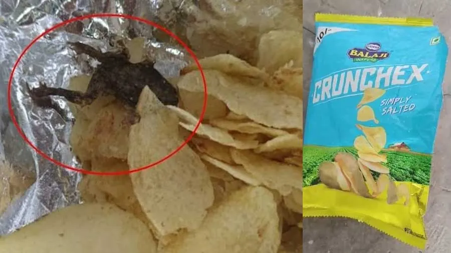 આઇસ્ક્રીમમાં આંગળી બાદ વેફરમાં મળ્યો દેડકો, તપાસના આદેશ