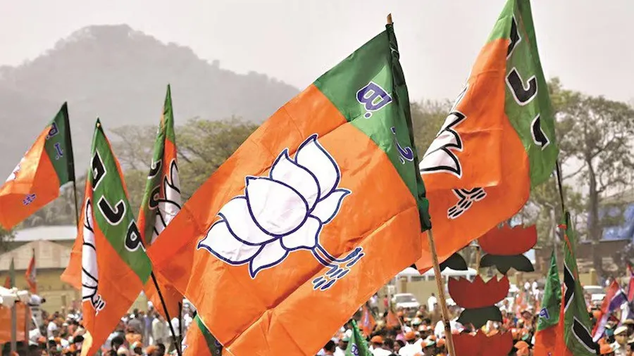 UPમાં લોકસભાની ચૂંટણીમાં કેમ હારી BJP? પાર્ટીની સ્પેશિયલ ટીમે ગણાવ્યા કારણ