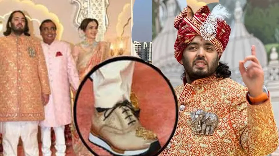 અનંત અંબાણીએ લગ્નમાં પહેરેલા ડ્રેસની કિંમત 214 કરોડ રૂપિયા છે