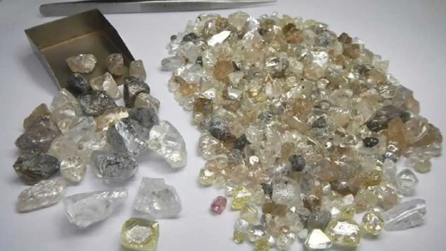 Khabarchheના અભિયાનની ઇન્ટરનેશનલ લેવલે ઇમ્પેક્ટ પડી છે