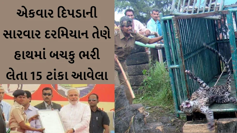 ગીરની જાબાંઝ સિંહણ.... દેશના પ્રથમ મહિલા રેસ્ક્યૂ ફોરેસ્ટર રસીલા વાઢેર