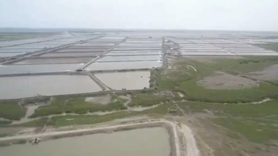 ગેરકાયદે ઝીંગા તળાવ ચલાવવા દર મહિને 3000 રૂ.નો હપ્તો...!!