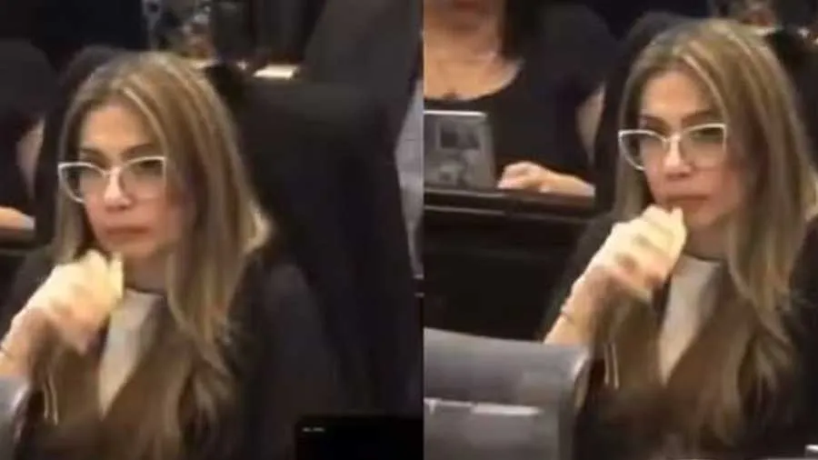 સંસદમાં સ્વાસ્થ્ય નીતિ પર ચર્ચા, E-સિગારેટ પીતા કેમેરામાં કેદ થયા મહિલા સાંસદ