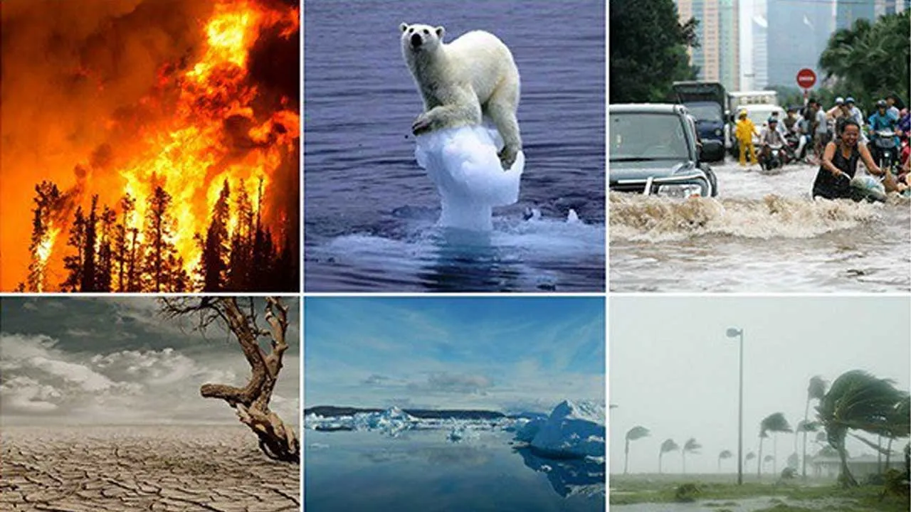 ગરમી, પૂર, દુષ્કાળ અને આગ; UNએ ચેતવણી આપતા કહ્યું- આગામી 5 વર્ષમાં આ તમામના રેકોર્ડ તૂટશે