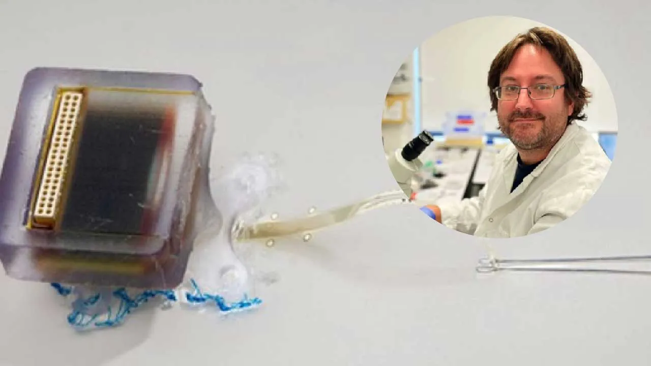 કરોડરજ્જુની ગંભીર ઇજા પણ હવે મટી જશે, વૈજ્ઞાનિકે બનાવ્યું અનોખું ઉપકરણ, જીવનભર નહીં રહેવું પડે 'દિવ્યાંગ'