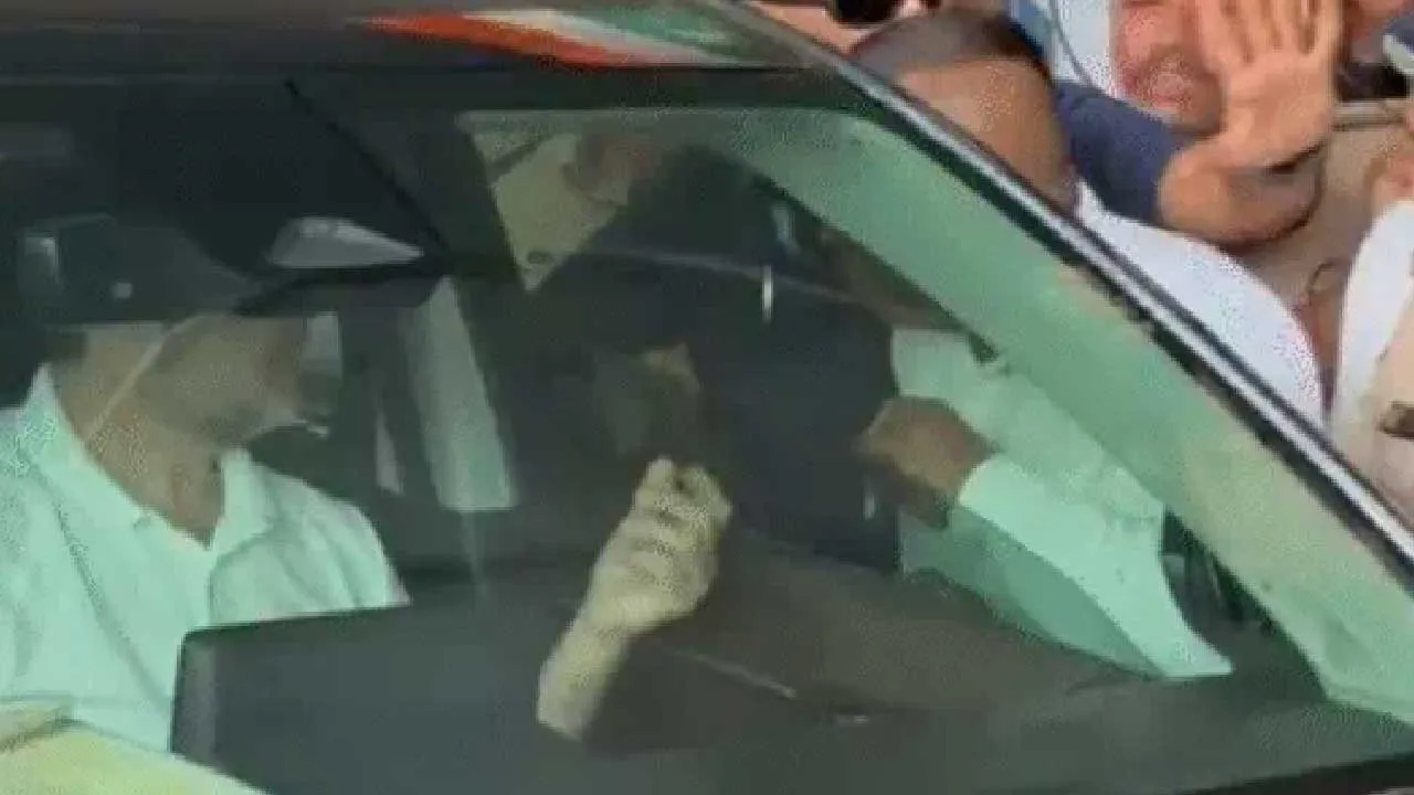 કાર્યકરે કહ્યું- મોટા નેતાઓએ ગુજરાતમાં કોંગ્રેસની ઘોર ખોદી છે, રાહુલે માંગ્યું કાર્ડ