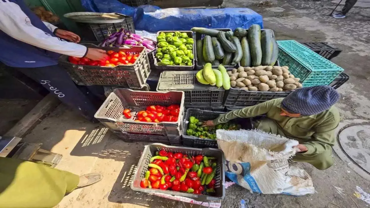 Vegetable Vendor