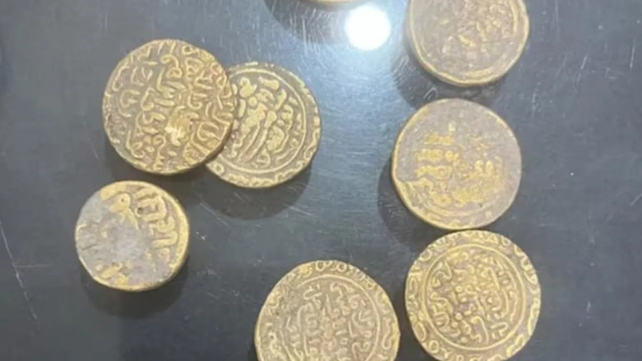 ખોદકામ દરમિયાન નીકળ્યા સોનાના સિક્કા! સાંભળતા જ લેવા દોડી પડ્યા ગ્રામજનો, પણ પોલીસે...