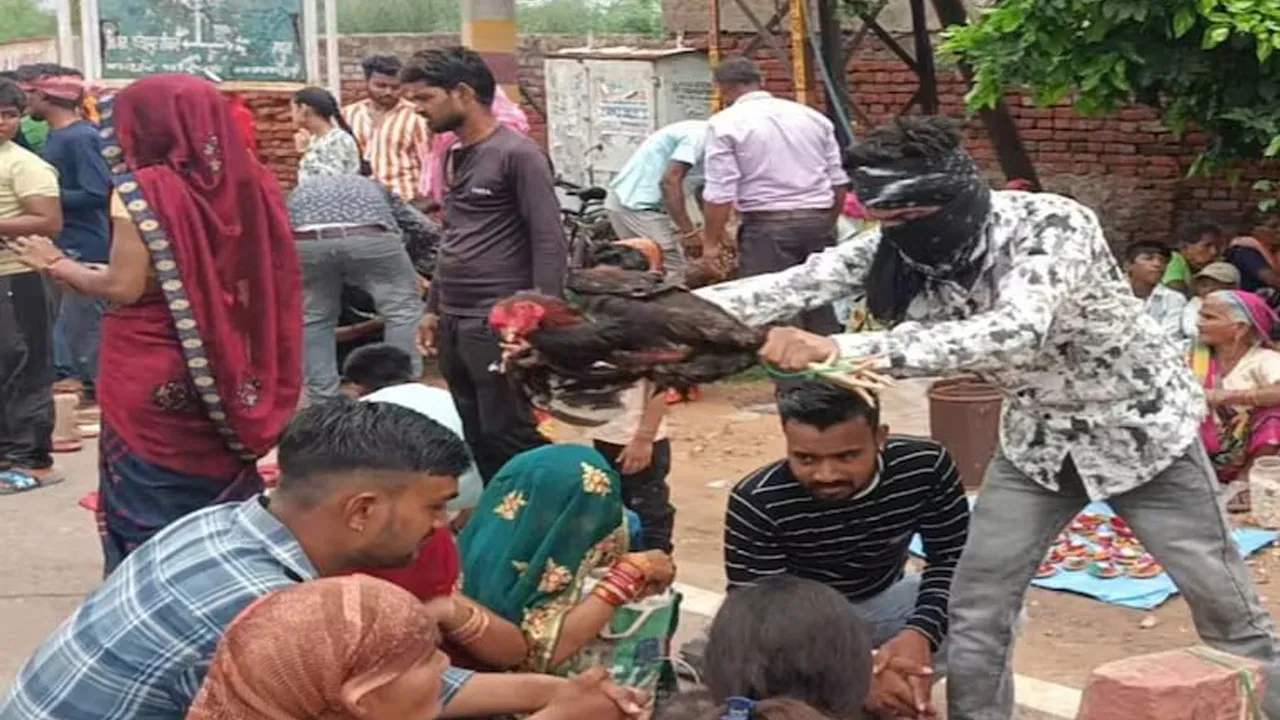 આ તો ગજબ છે! પહેલા મુંડન અને પછી બાળકોની નજર ઉતારાવવા માટે મરઘાનો આશીર્વાદ, ‘કૂવાવાળા મેળા’ની કહાની