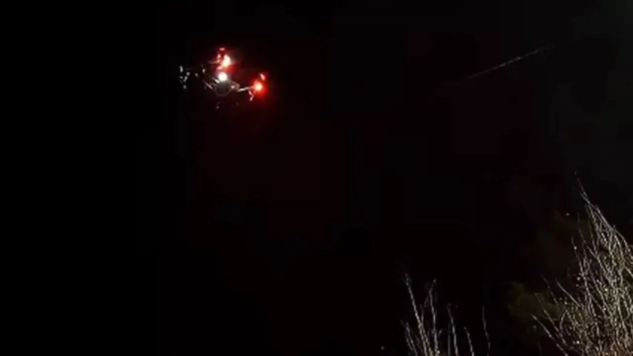 Muzaffarnagar-Pigeon-Lights1 