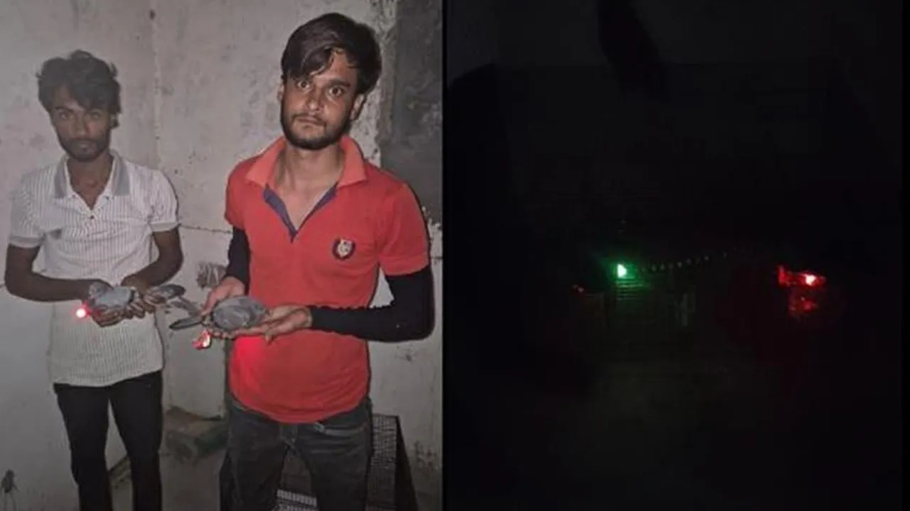 રોજ રાત્રે આકાશમાં લાલ-પીળી લાઈટ દેખાતી, પોલીસને લાગ્યું ડ્રોન છે પણ પછી ખબર પડી આ તો કબૂતર...