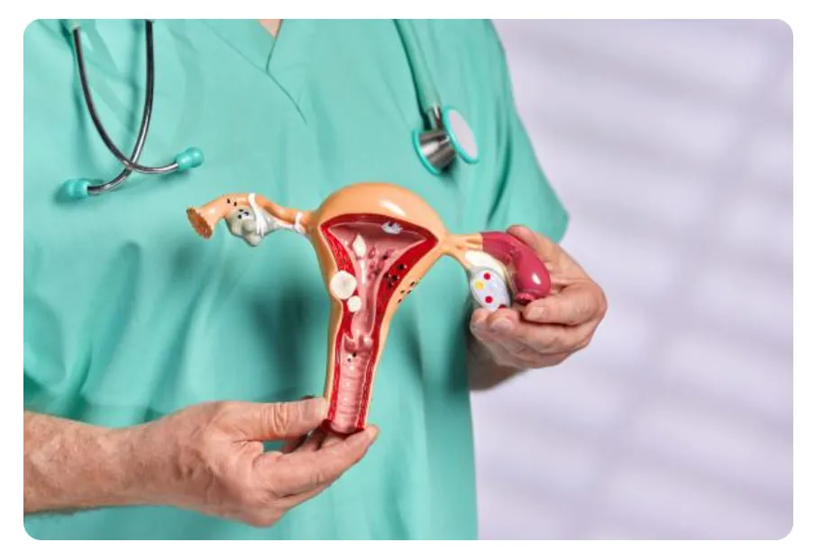 photo_2025-07-24_18-42-51