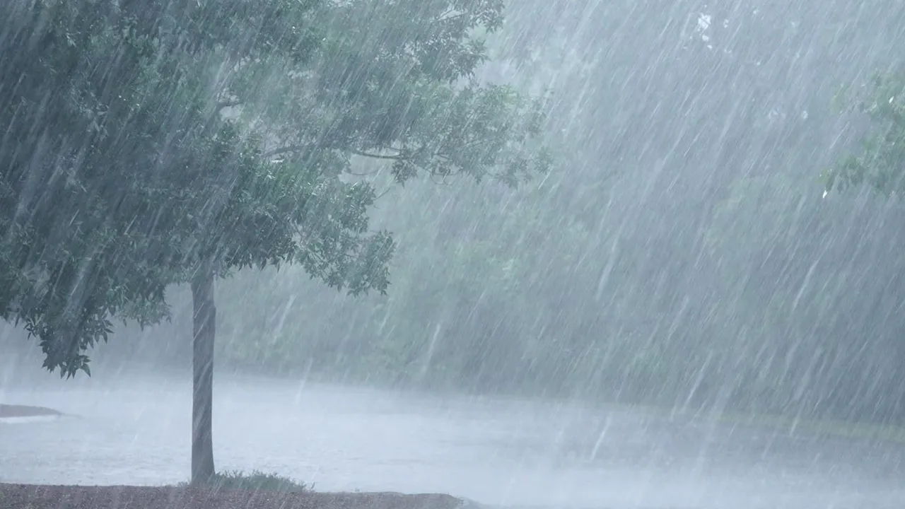 ગુજરાતમાં વરસાદી રાઉન્ડની આગાહી: 31 જુલાઈ સુધી મોટાભાગના વિસ્તારોમાં ભારે વરસાદની શક્યતા