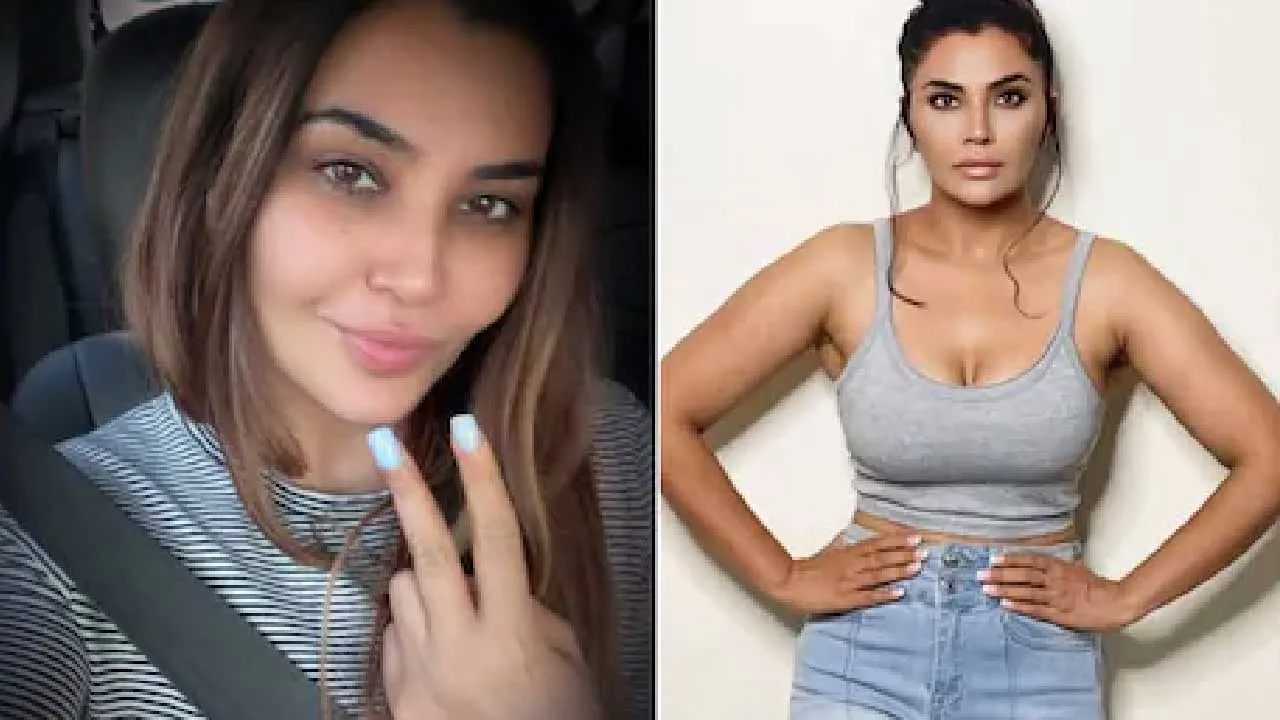 સોશિયલ મીડિયા ઇન્ફ્લુઅન્સર સંદીપાની EDએ ધરપકડ કેમ કરી?