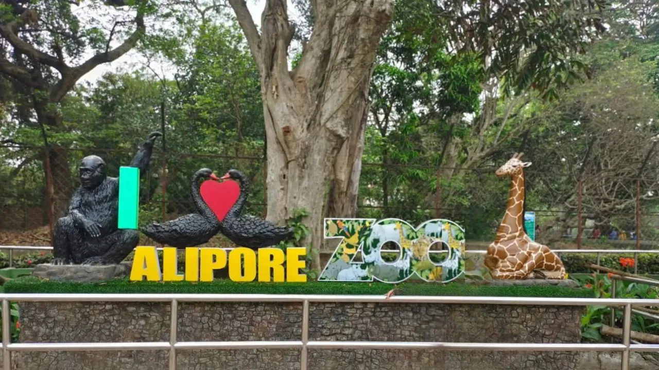 alipore-zoological-garden2 