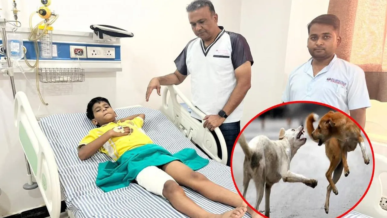 Bareilly-Dogs-Attacked 