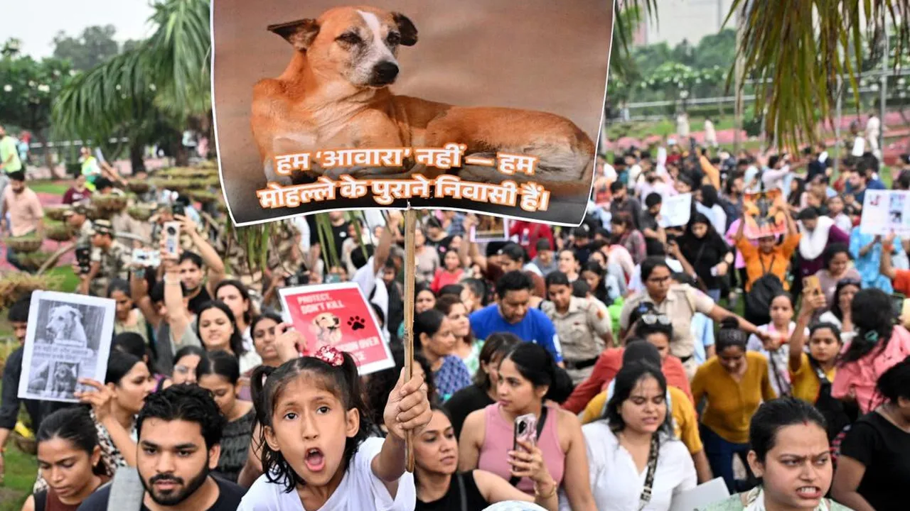 રખડતા કૂતરાઓને છોડી દેવાશે પણ..., સુપ્રીમ કોર્ટના આદેશમાં જાણો શું-શું છે