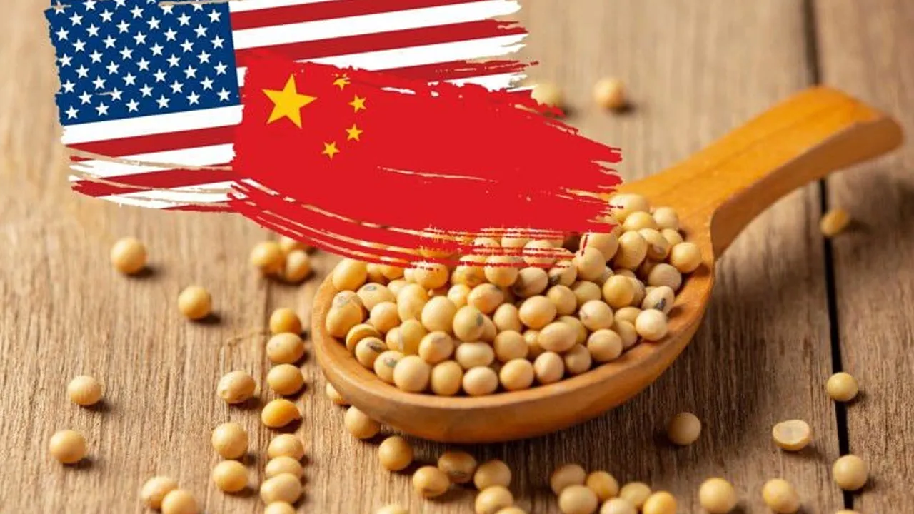 US-Soybean-China1 