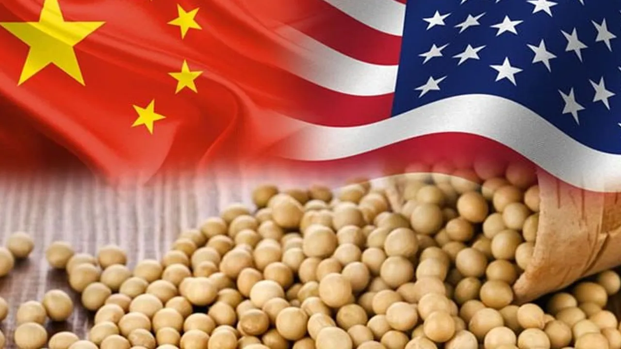 ટ્રમ્પે ટેરિફમાં રાહતના બદલે ચીનને સોયાબીન ખરીદવા માટે વિનંતી કરીને કહ્યું...