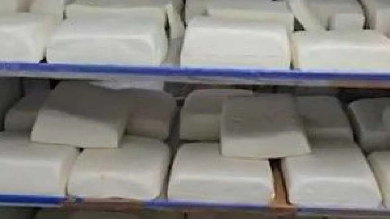 મેગીના મસાલાથી લઈને પનીર સુધી... સુરતમાં મળી જશે બધુ નકલી